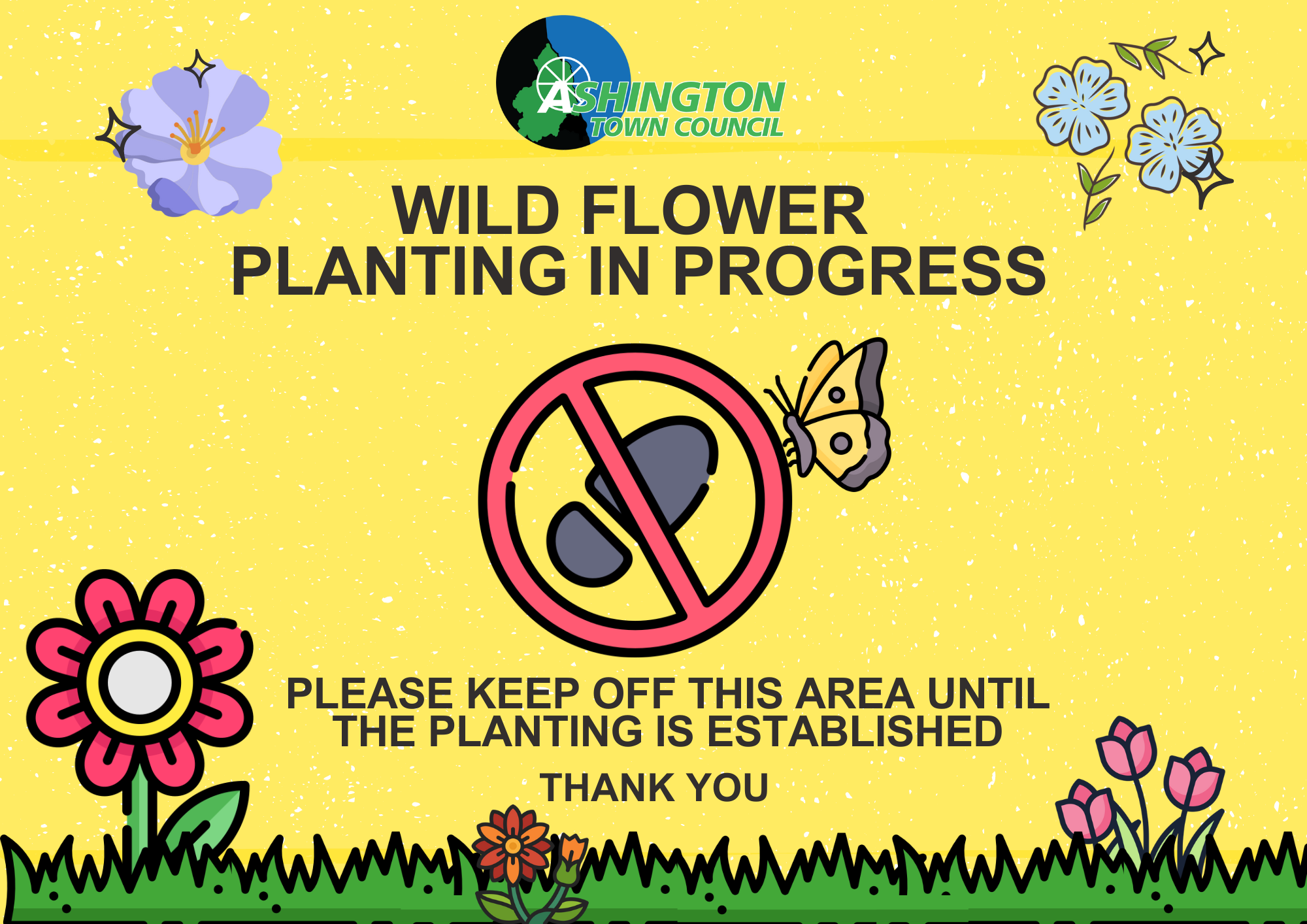 Town and County Councils Partner to Bring Wildflowers to Ashington Green Spaces