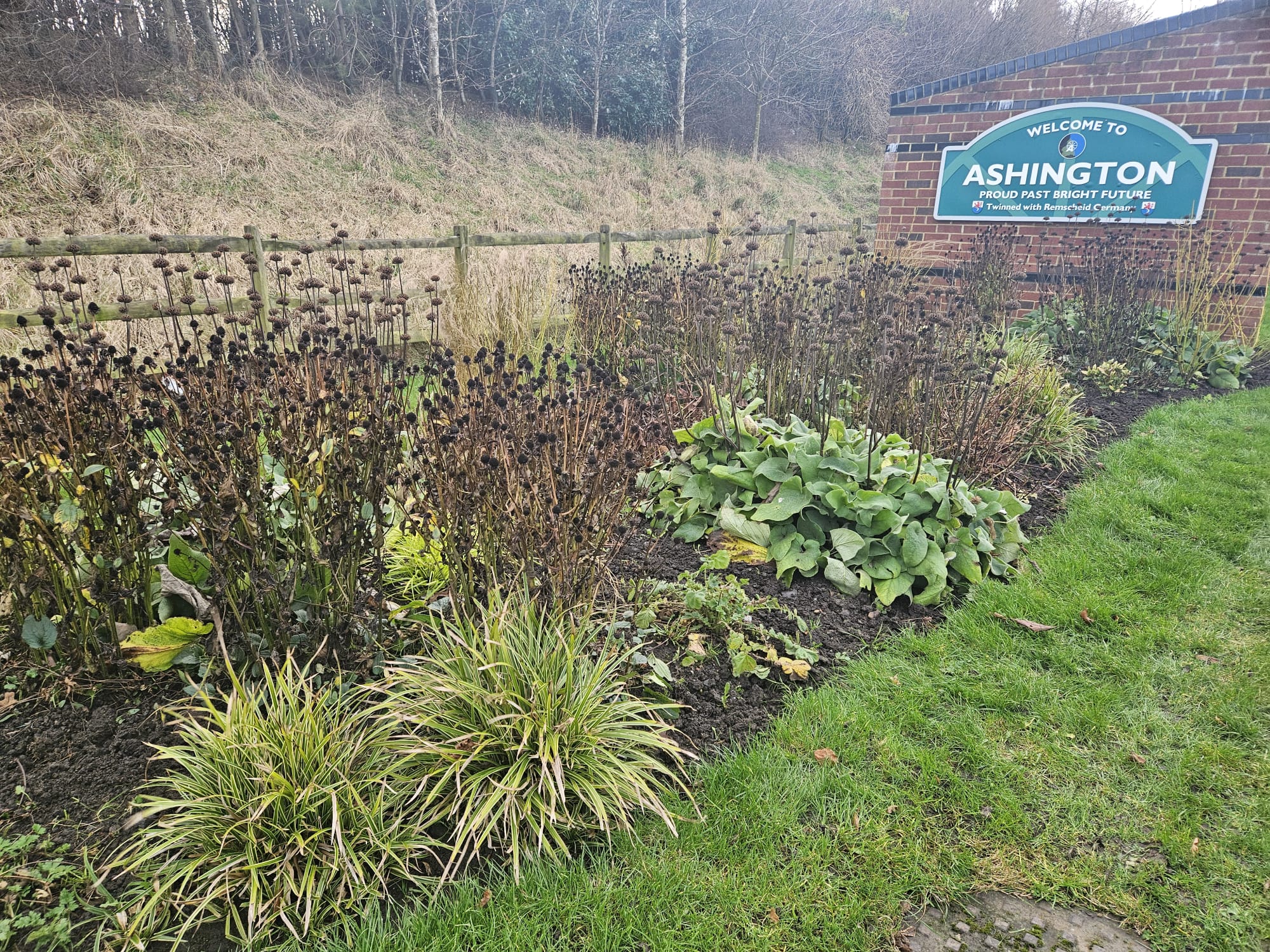 Winter Maintenance Update: Embracing Sustainable Planting in Our Town